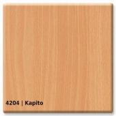 4204 &mdash; Kapito