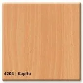 4204 &mdash; Kapito