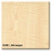4206 &mdash; Akcaagac