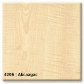 4206 &mdash; Akcaagac