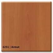 4251 &mdash; Armut