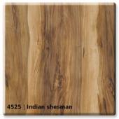 4525 &mdash; Indian Shesman