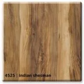 4525 &mdash; Indian Shesman