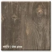 4573 &mdash; Old pine