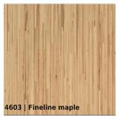 4603 &mdash; Fineline maple