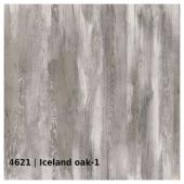 4621 &mdash; Iceland oak 1