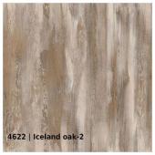 4622 &mdash; Iceland oak 2