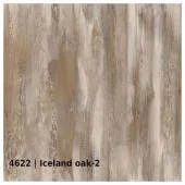 4622 &mdash; Iceland oak 2
