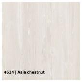 4624 &mdash; Asla chestnut