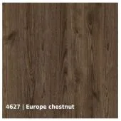 4627 &mdash; Europe chestnut