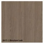 4675 &mdash; Maryland oak